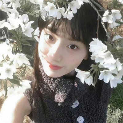 梦城兔福星